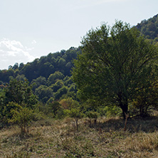 Amazing Landscape near Glozhene Monastery, Stara Planina Mountain  (Balkan Mountains), Lovech region, Bulgaria