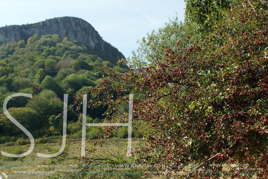 Amazing Landscape near Glozhene Monastery, Stara Planina Mountain  (Balkan Mountains), Lovech region, Bulgaria