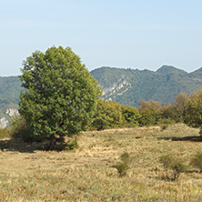 Amazing Landscape near Glozhene Monastery, Stara Planina Mountain  (Balkan Mountains), Lovech region, Bulgaria