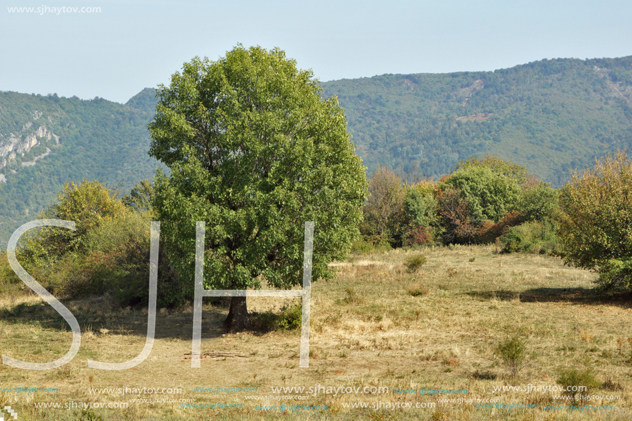 Amazing Landscape near Glozhene Monastery, Stara Planina Mountain  (Balkan Mountains), Lovech region, Bulgaria