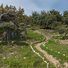 Amazing view of Ruins in Archaeological site of Aliki, Thassos island,  East Macedonia and Thrace, Greece
