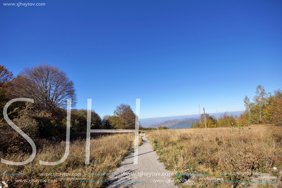 Autumn Landscape with yellow trees, Vitosha Mountain, Sofia City Region, Bulgaria