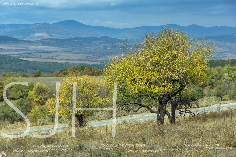 Autumn Panoramic view of Cherna Gora mountain, Pernik Region, Bulgaria