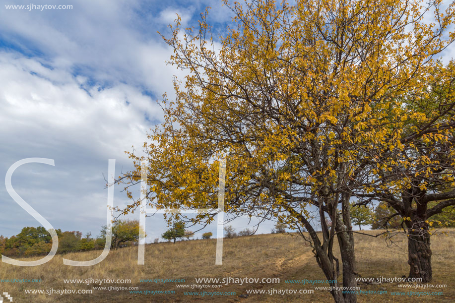 Autumn Panoramic view of Cherna Gora mountain, Pernik Region, Bulgaria