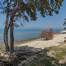 Beach of Ormos Prinou, Thassos island, East Macedonia and Thrace, Greece