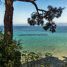 beach with blue waters in Thassos island, East Macedonia and Thrace, Greece