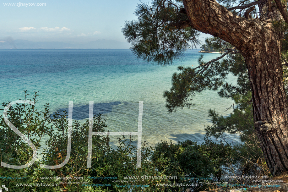 Beach with blue waters in Thassos island, East Macedonia and Thrace, Greece