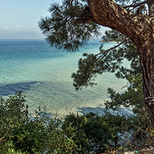 Beach with blue waters in Thassos island, East Macedonia and Thrace, Greece