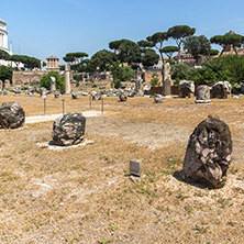 ROME, ITALY - JUNE 24, 2017: Panoramic view of Roman Forum in city of Rome, Italy