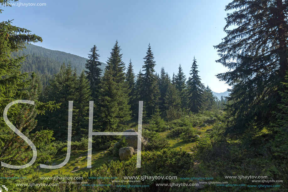 Landscape of Begovitsa River Valley, Pirin Mountain, Bulgaria