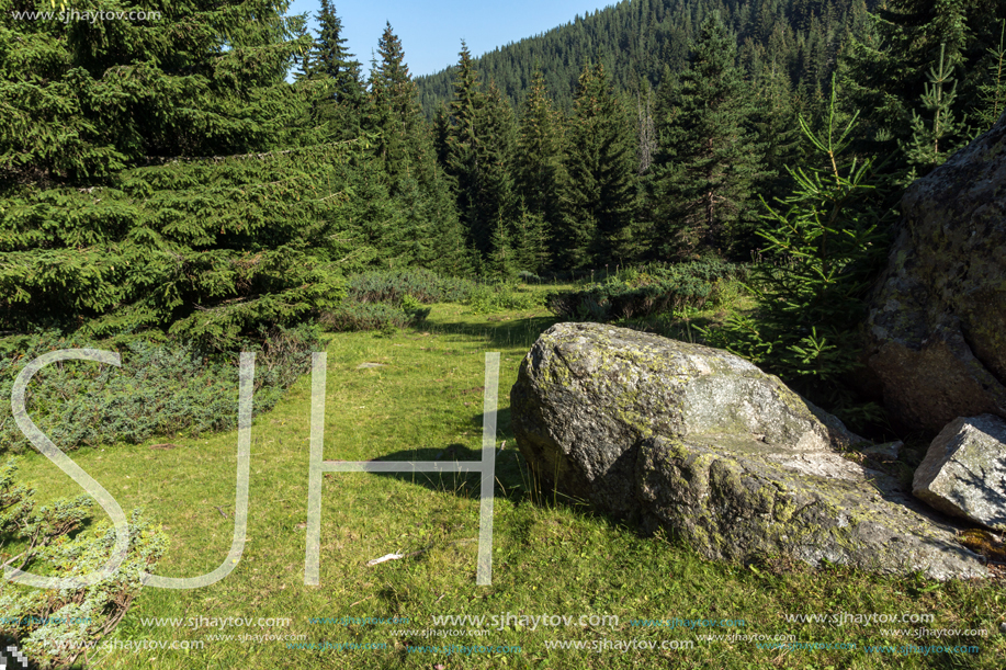 Landscape of Begovitsa River Valley, Pirin Mountain, Bulgaria