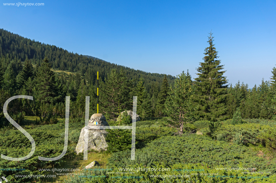 Landscape of Begovitsa River Valley, Pirin Mountain, Bulgaria