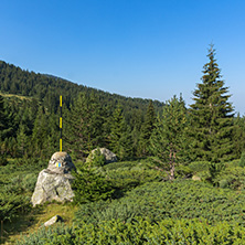 Landscape of Begovitsa River Valley, Pirin Mountain, Bulgaria