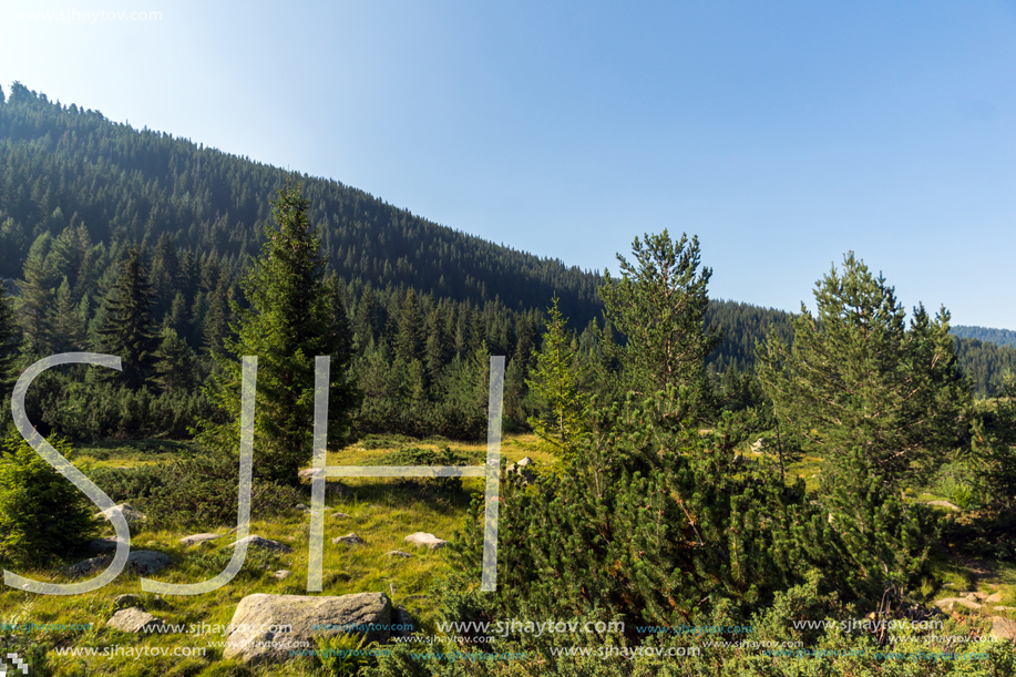 Landscape of Begovitsa River Valley, Pirin Mountain, Bulgaria