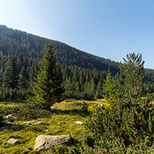 Landscape of Begovitsa River Valley, Pirin Mountain, Bulgaria