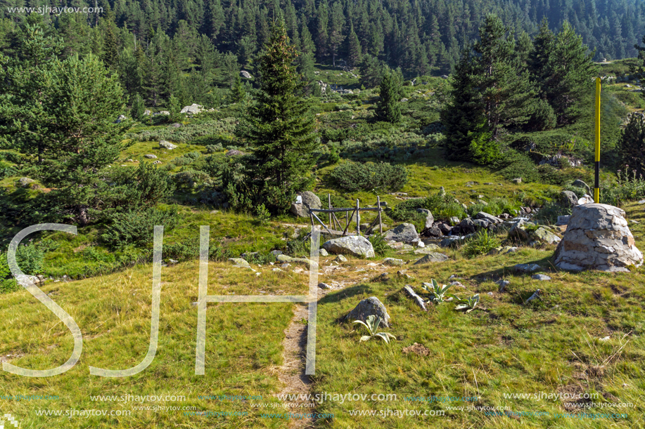Landscape of Begovitsa River Valley, Pirin Mountain, Bulgaria