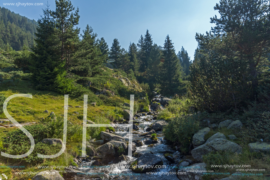 Landscape of Begovitsa River Valley, Pirin Mountain, Bulgaria