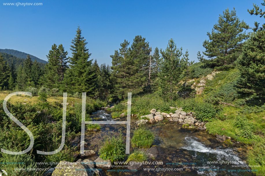 Landscape of Begovitsa River Valley, Pirin Mountain, Bulgaria