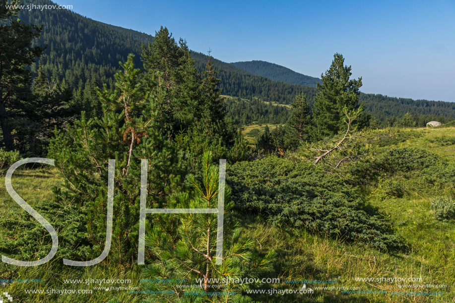 Landscape of Begovitsa River Valley, Pirin Mountain, Bulgaria