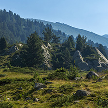 Landscape of Begovitsa River Valley, Pirin Mountain, Bulgaria
