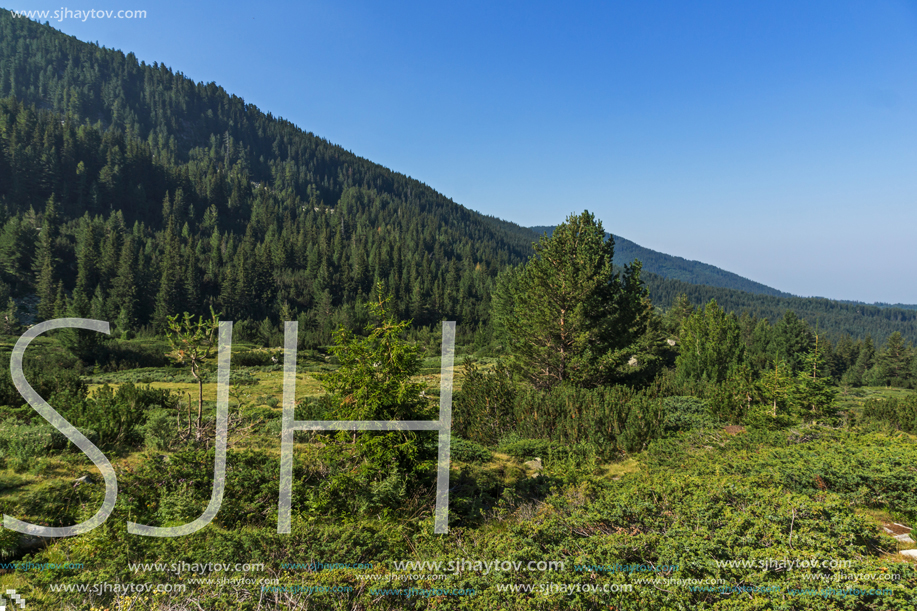 Landscape of Begovitsa River Valley, Pirin Mountain, Bulgaria