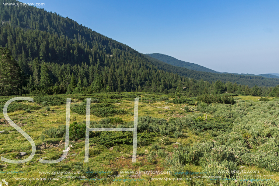 Landscape of Begovitsa River Valley, Pirin Mountain, Bulgaria