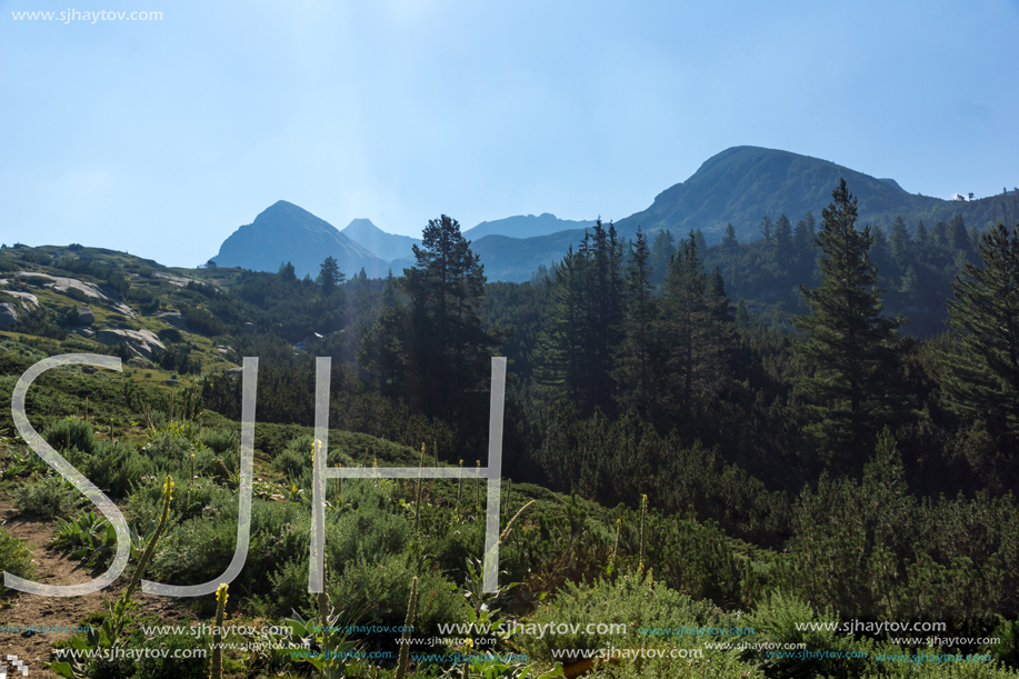 Landscape of Begovitsa River Valley, Pirin Mountain, Bulgaria