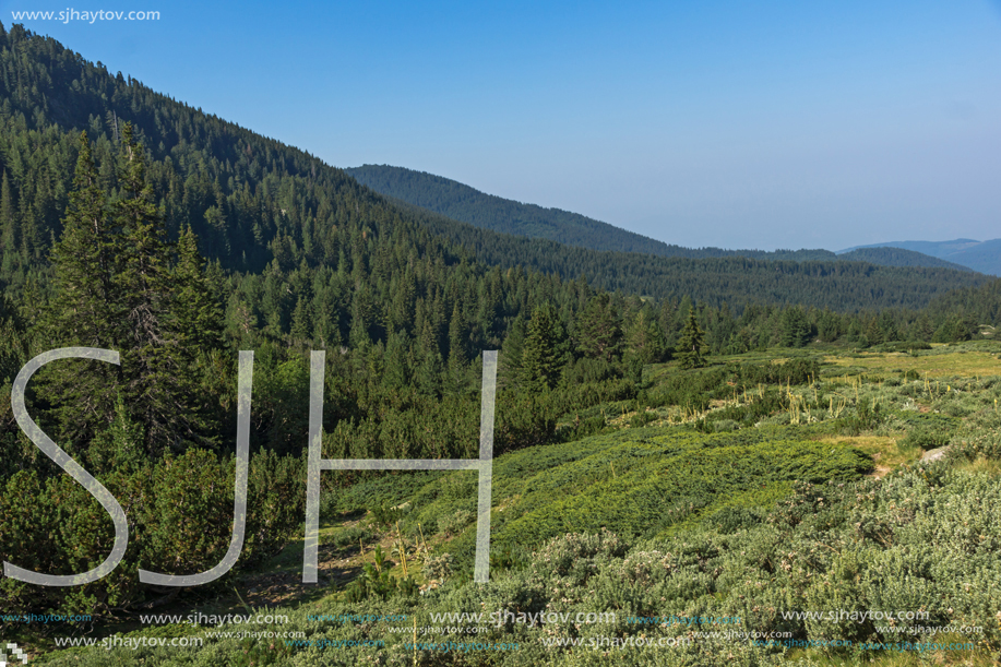 Landscape of Begovitsa River Valley, Pirin Mountain, Bulgaria