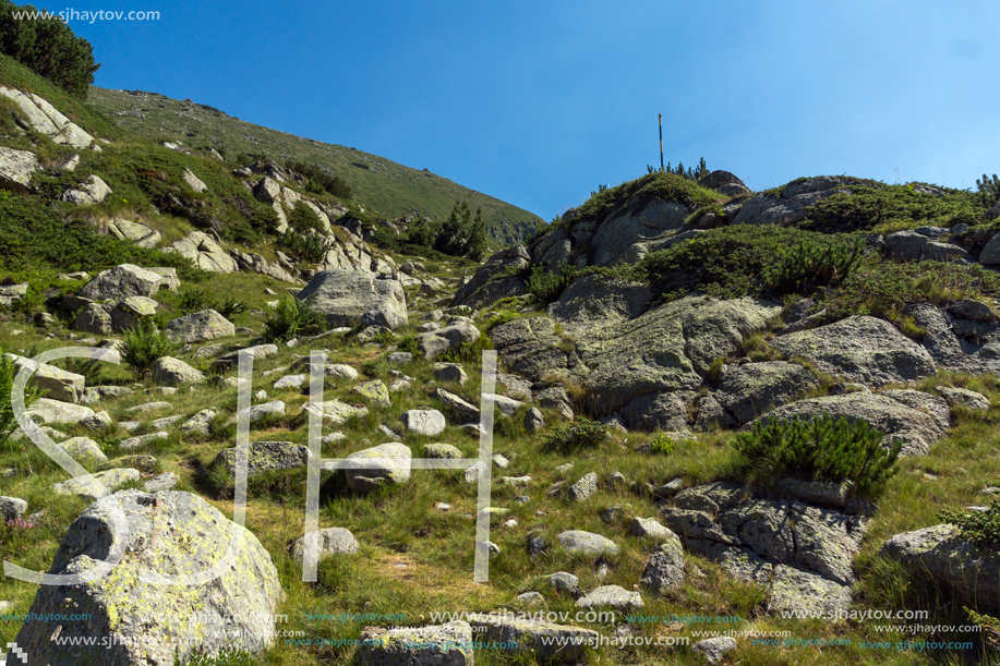 Landscape of Begovitsa River Valley, Pirin Mountain, Bulgaria