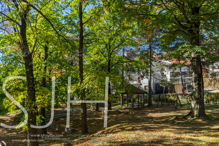 METSOVO, EPIRUS, GREECE - OCTOBER 19, 2013: Autumn view of village of Metsovo near city of Ioannina, Epirus Region, Greece