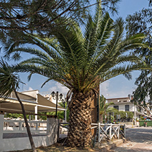 CHALKIDIKI, CENTRAL MACEDONIA, GREECE - AUGUST 25, 2014: Panoramic view of Metamorfosi Beach at Sithonia peninsula, Chalkidiki, Central Macedonia, Greece