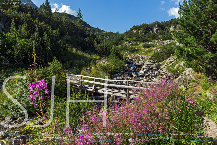 Amazing Landscape with mountain river, Pirin Mountain, Bulgaria