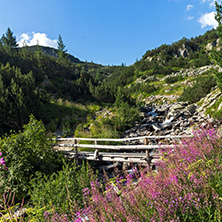 Amazing Landscape with mountain river, Pirin Mountain, Bulgaria
