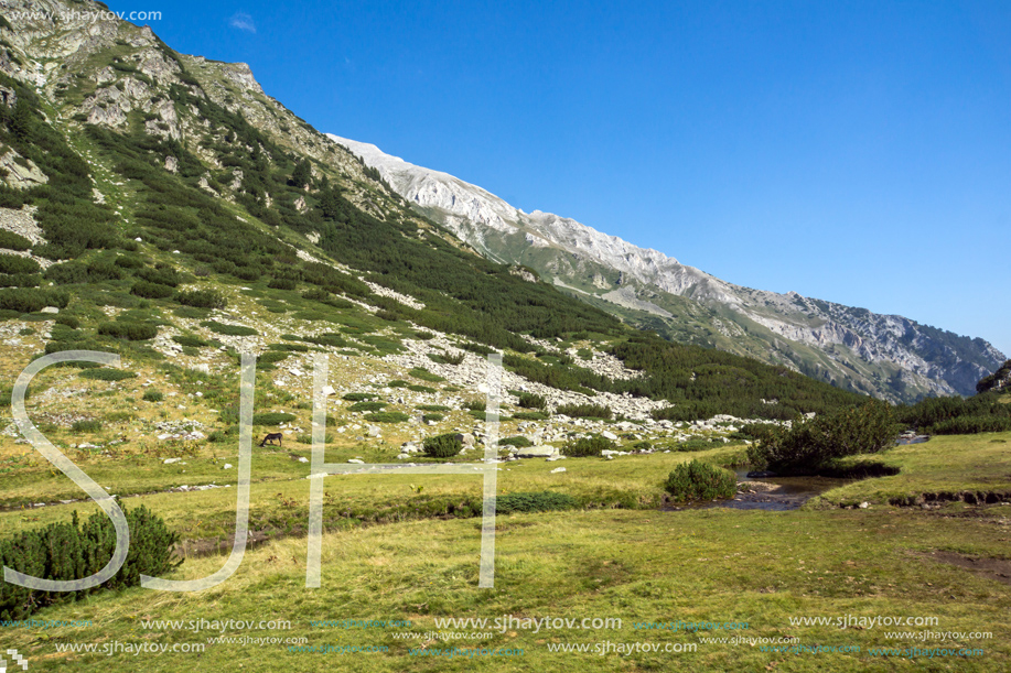 Amazing Landscape with mountain river, Pirin Mountain, Bulgaria