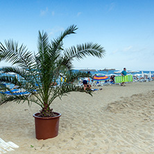 OBZOR, BULGARIA - JULY 26, 2014: Beach of resort of Obzor, Burgas region, Bulgaria