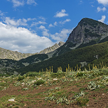 Amazing Landscape of Yalovarnika peak, Pirin Mountain, Bulgaria