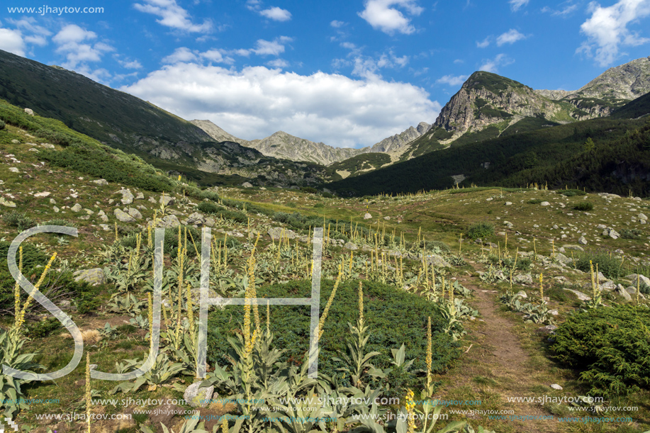 Amazing Landscape of Yalovarnika peak, Pirin Mountain, Bulgaria