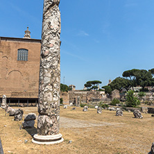 ROME, ITALY - JUNE 24, 2017: Panoramic view of Roman Forum in city of Rome, Italy