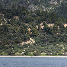 Amazing Landscape of Mount Athos at Autonomous Monastic State of the Holy Mountain, Chalkidiki, Greece