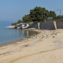 THASSOS, GREECE - APRIL 5, 2016:  Port of Skala Kallirachis, Thassos island, East Macedonia and Thrace, Greece