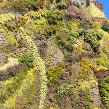 MADRID, SPAIN - JANUARY 22, 2018: Vertical garden wall and CaixaForum Museum in City of Madrid, Spain