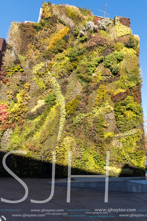 MADRID, SPAIN - JANUARY 22, 2018: Vertical garden wall and CaixaForum Museum in City of Madrid, Spain