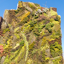 MADRID, SPAIN - JANUARY 22, 2018: Vertical garden wall and CaixaForum Museum in City of Madrid, Spain