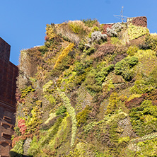 MADRID, SPAIN - JANUARY 22, 2018: Vertical garden wall and CaixaForum Museum in City of Madrid, Spain