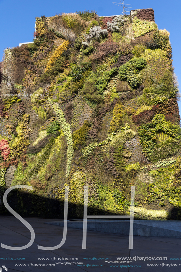 MADRID, SPAIN - JANUARY 22, 2018: Vertical garden wall and CaixaForum Museum in City of Madrid, Spain