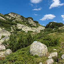 Amazing Landscape of Begovitsa River Valley, Pirin Mountain, Bulgaria