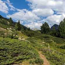 Amazing Landscape of Begovitsa River Valley, Pirin Mountain, Bulgaria