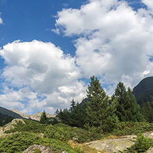 Amazing Landscape of Begovitsa River Valley, Pirin Mountain, Bulgaria
