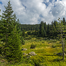 Amazing Landscape of Begovitsa River Valley, Pirin Mountain, Bulgaria