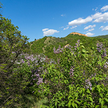 Landscape near rock formation Stob pyramids, Rila Mountain, Kyustendil region, Bulgaria